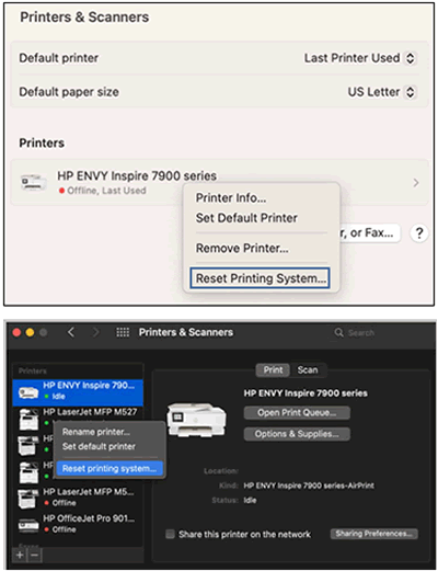 Resetting the printing system