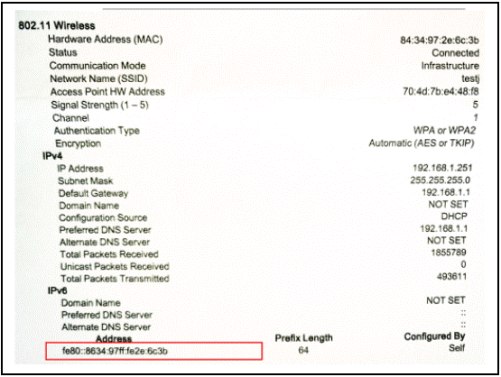 Example of an IPV6 address on a Network Configuration Report