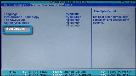 Selecting boot options