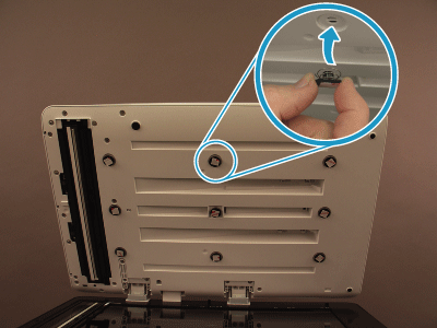 Install the clips