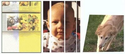 Resolve scan quality problems on HP printers | HP® Customer Support