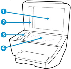 Clean the scanner glass and under the lid, and any glass or white strips (if present)