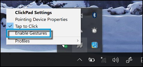 Enable Gestures unchecked