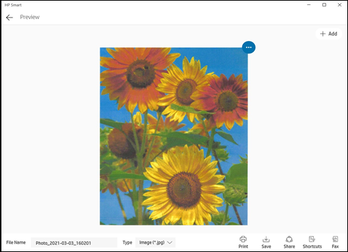 Preview of a scanned item in HP Smart