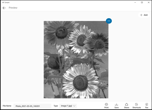 Scanned item in HP Smart