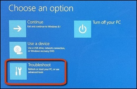 Clicking Troubleshoot on the Choose an option screen