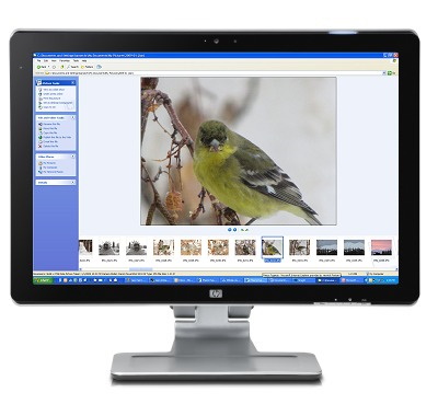 HP Displays - ปัญหาคุณภาพในการแสดงผล | ฝ่ายสนับสนุนลูกค้า HP®