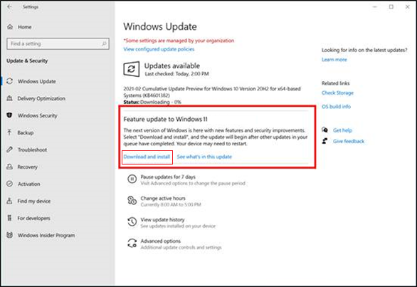 Windows Update screen showing Feature update to Windows 11 selected