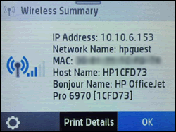 IP Address on the Wireless Summary screen