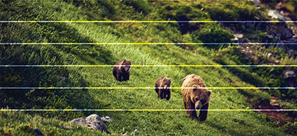 Troubleshooting print-quality issues | HP® Support