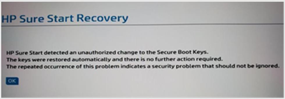 Screen shot of sure start recovery error message