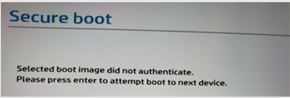 Screen shot of Secure Boot Error Message