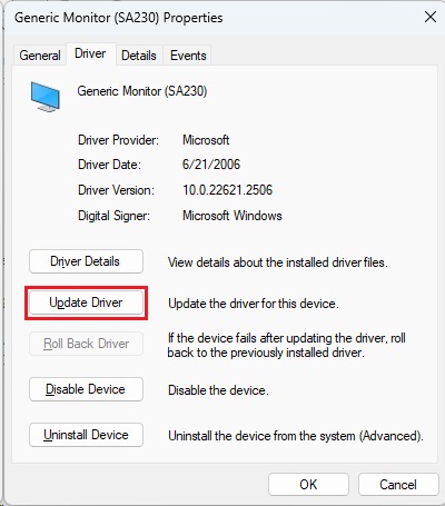 Select Monitors in Device Manager