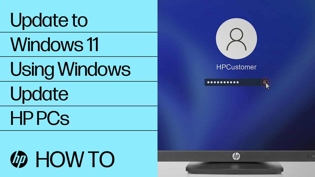HP Z24q G3 QHD Display Software and Driver Downloads | HP® Support