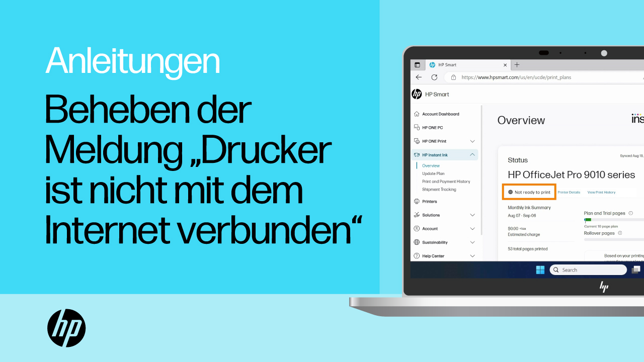 Wie kann ich die Meldung Drucker ist nicht mit dem Internet verbunden